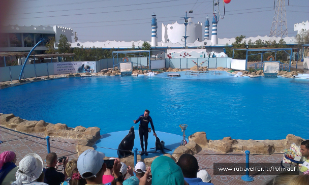 photo 1569592