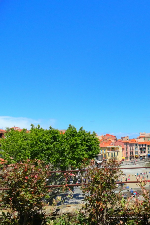 photo 1618696