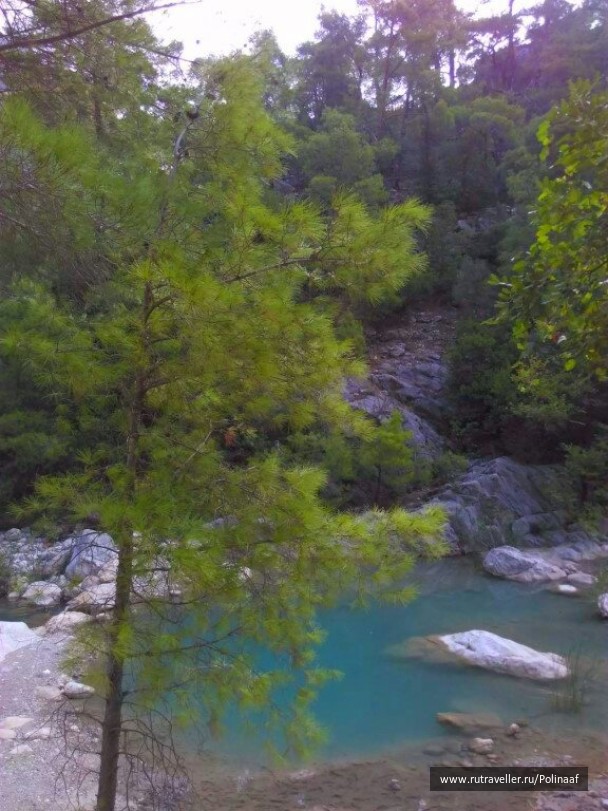 photo 1567384