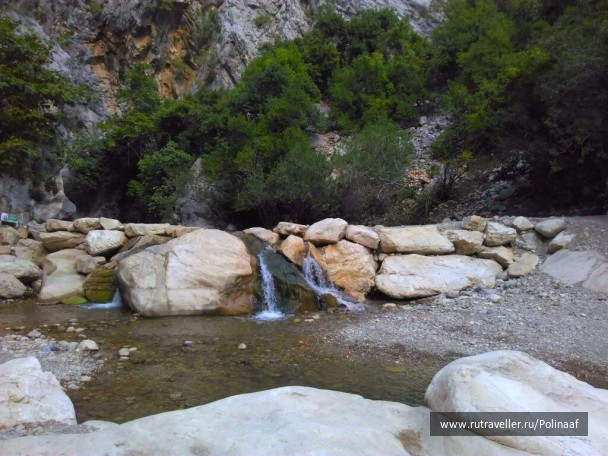 photo 1567390