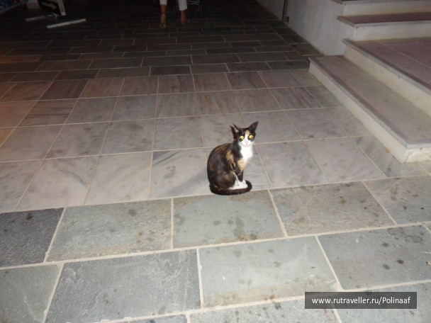photo 1588063