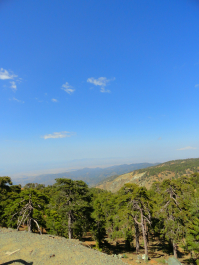photo 1590279