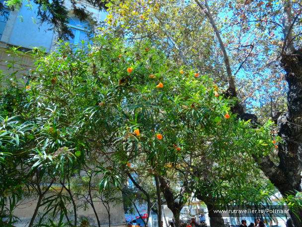 photo 1591259