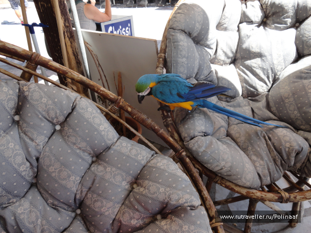 photo 1590086