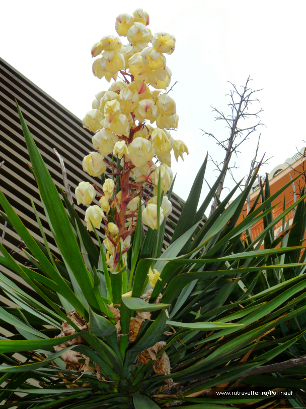 photo 1601783
