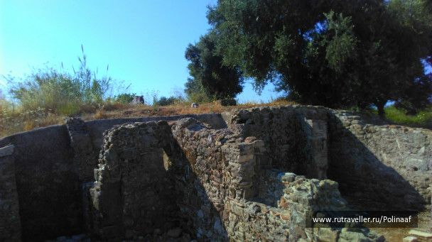 photo 1657684