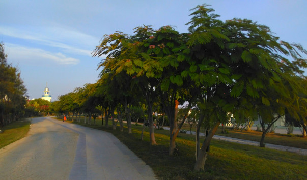 IMAG0681_1