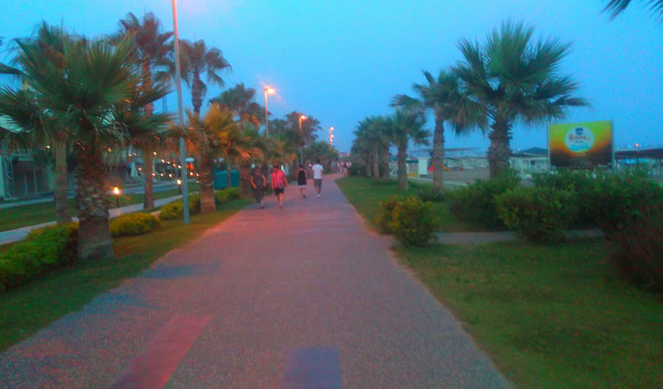 IMAG1109_1
