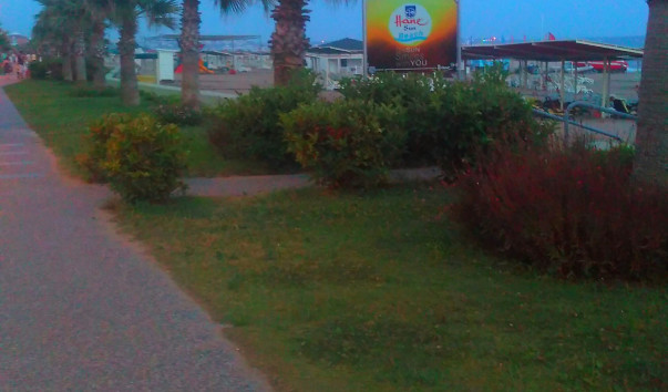 IMAG1108_1
