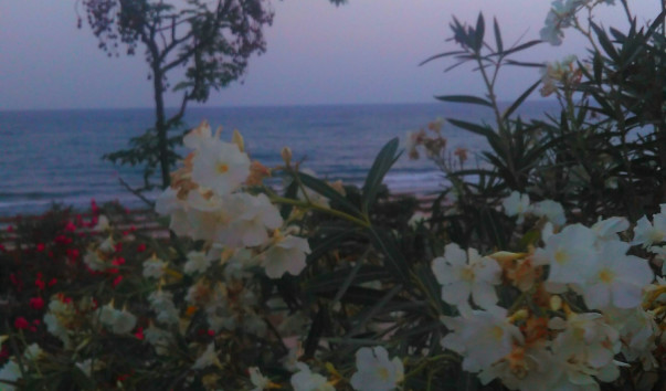 IMAG1094_1