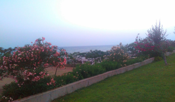 IMAG1081_1
