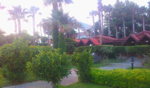 IMAG1066_1