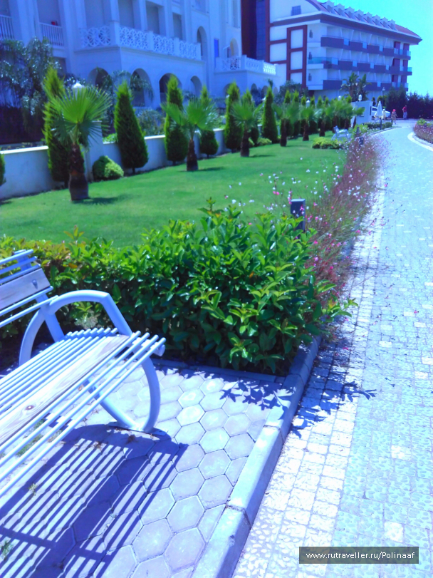 photo 1649445