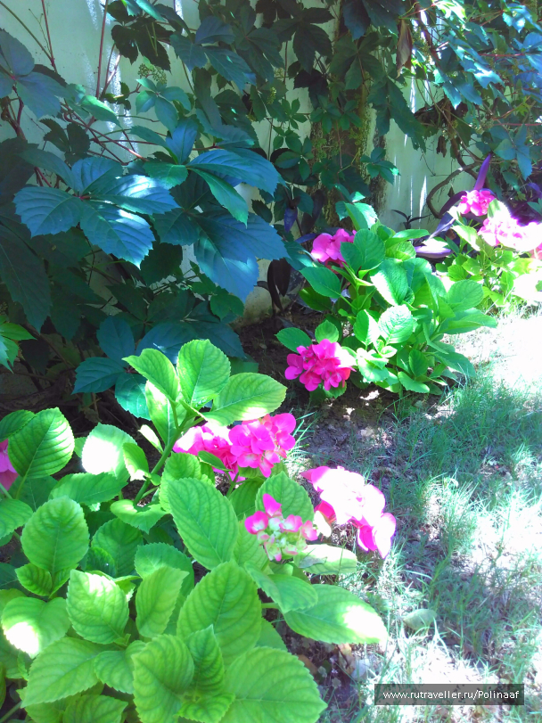 photo 1655681