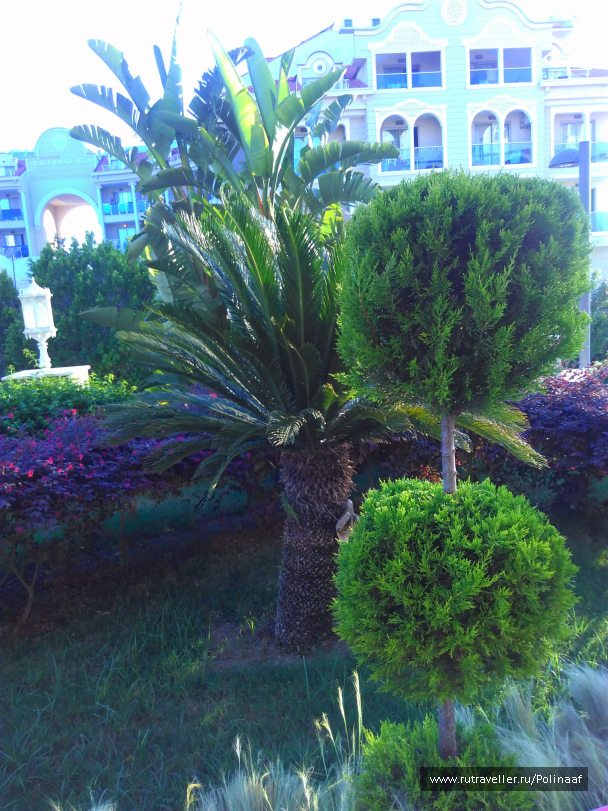 photo 1657682