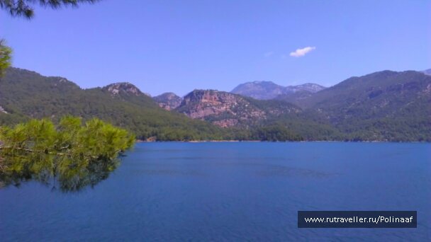 photo 1662373