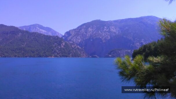 photo 1666537