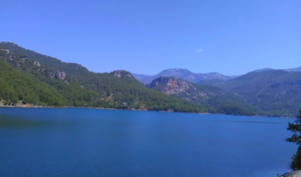 IMAG0885_1