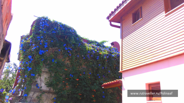 photo 1669224
