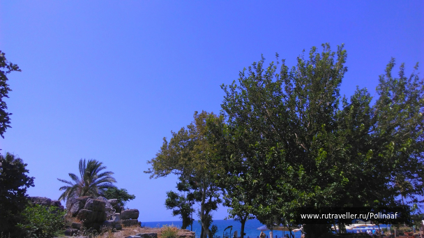 photo 1669763