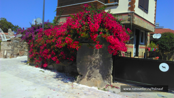 photo 1673258