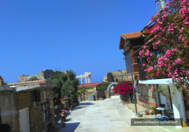 photo 1673617