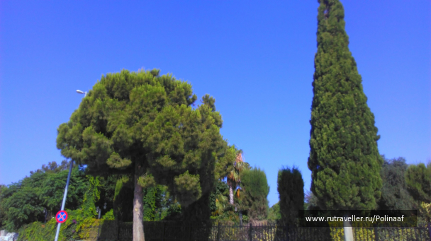photo 1678478