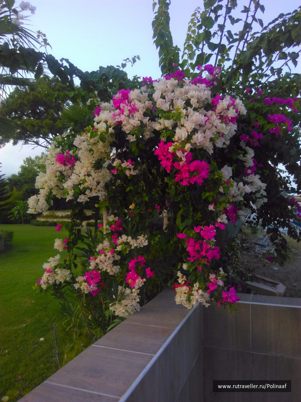 photo 1688037