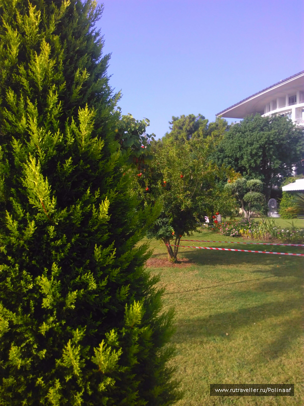 photo 1689825