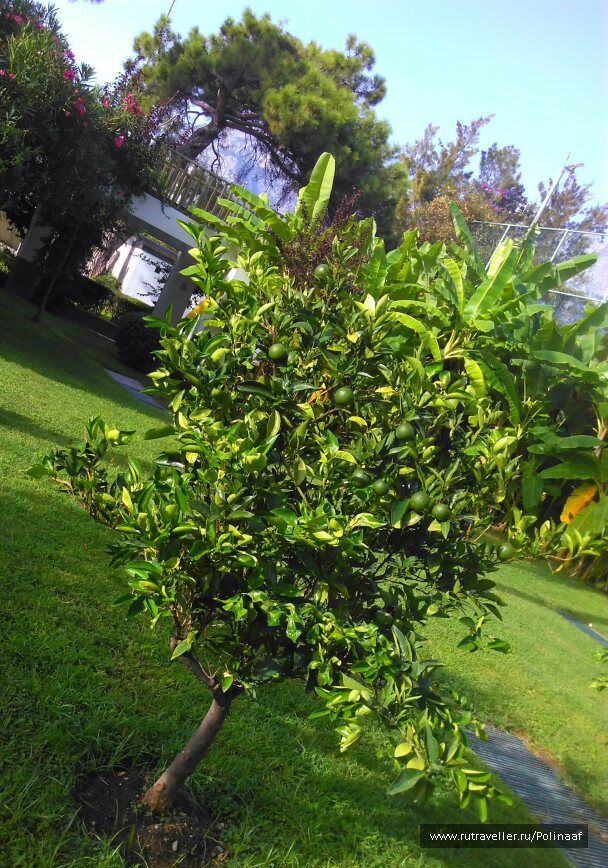 photo 1690491