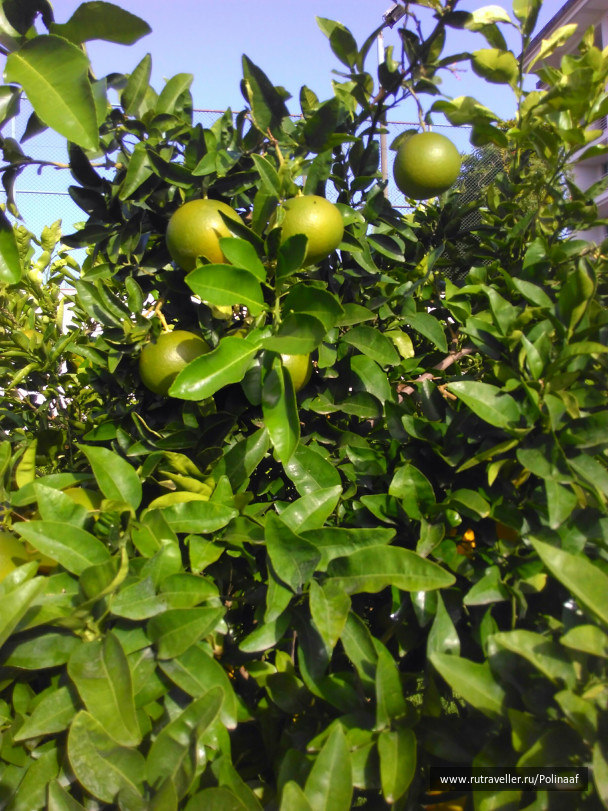 photo 1690983