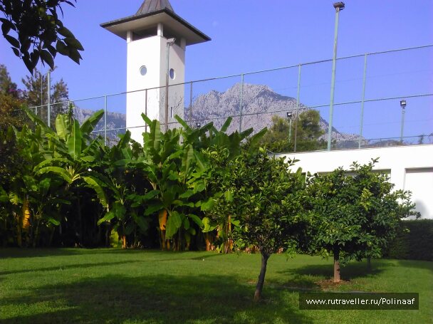 photo 1691414