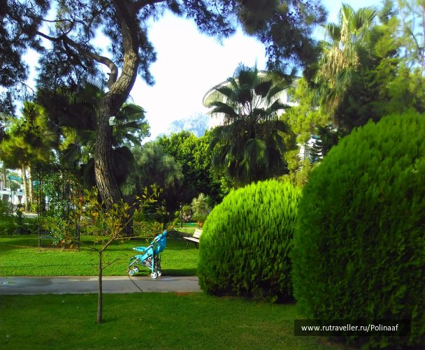 photo 1694763