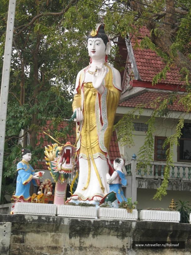 photo 1746683