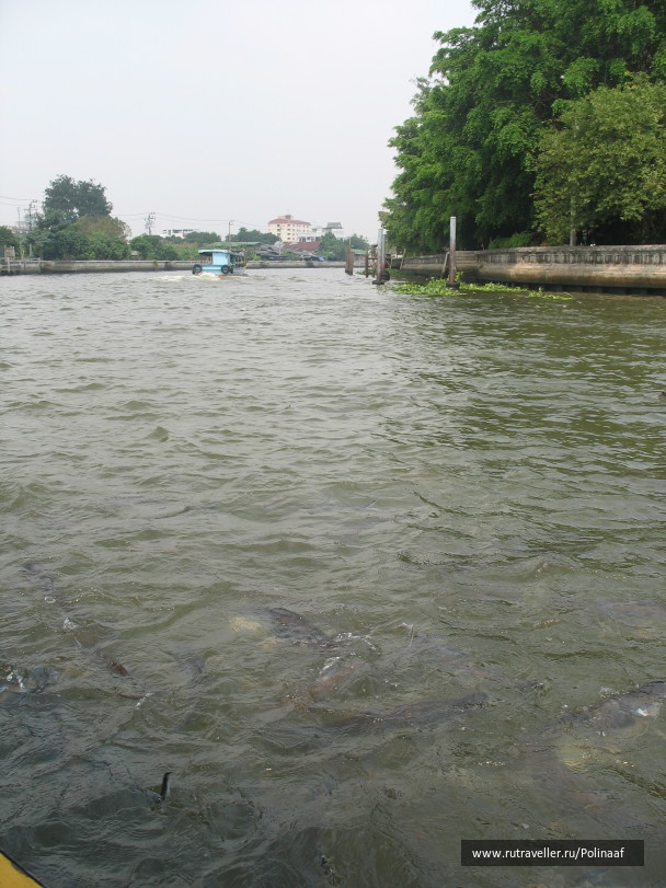 photo 1747123