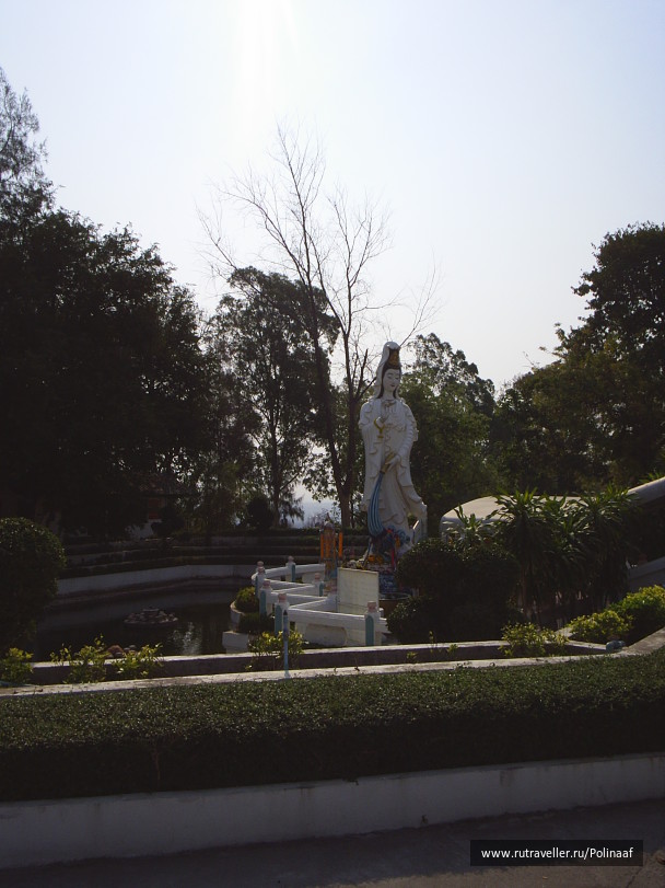 photo 1753625