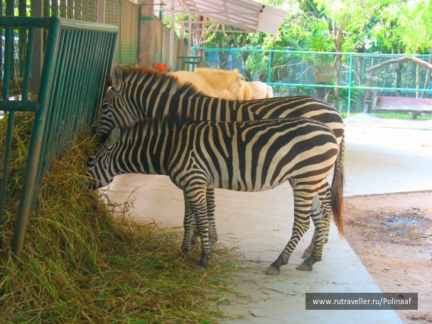 photo 1756454