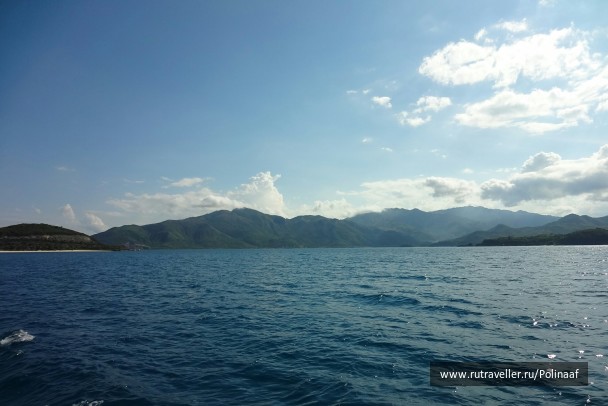 photo 1742078