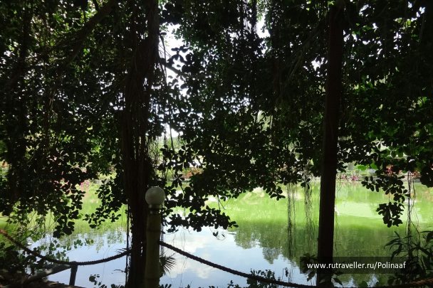 photo 1749788