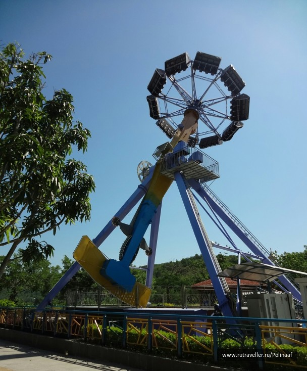 photo 1764657
