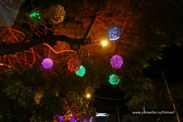 photo 1742616