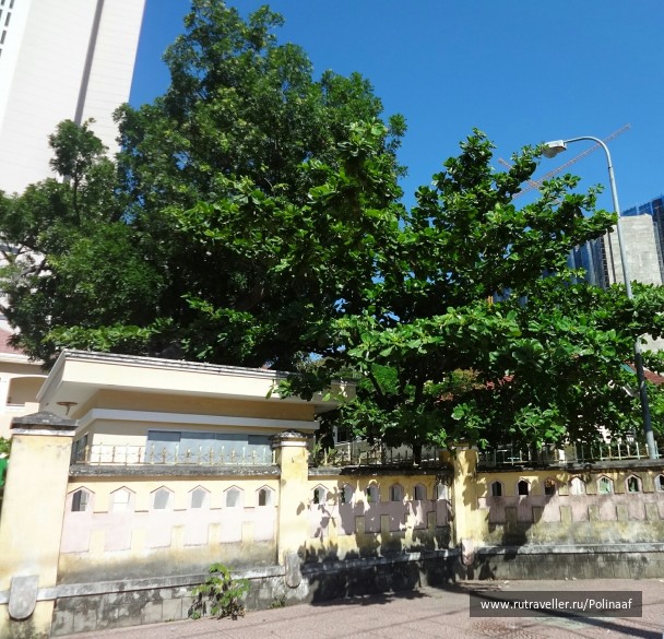 photo 1742872