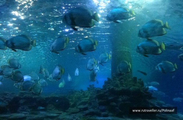 photo 1741218