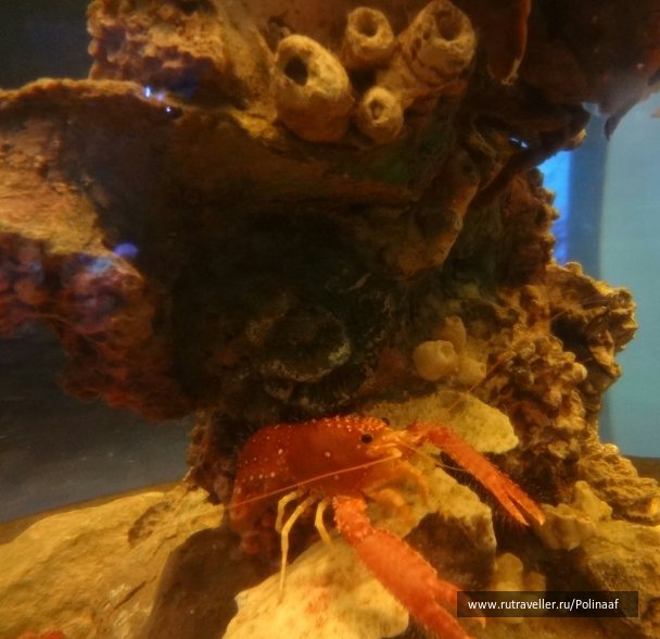 photo 1742871