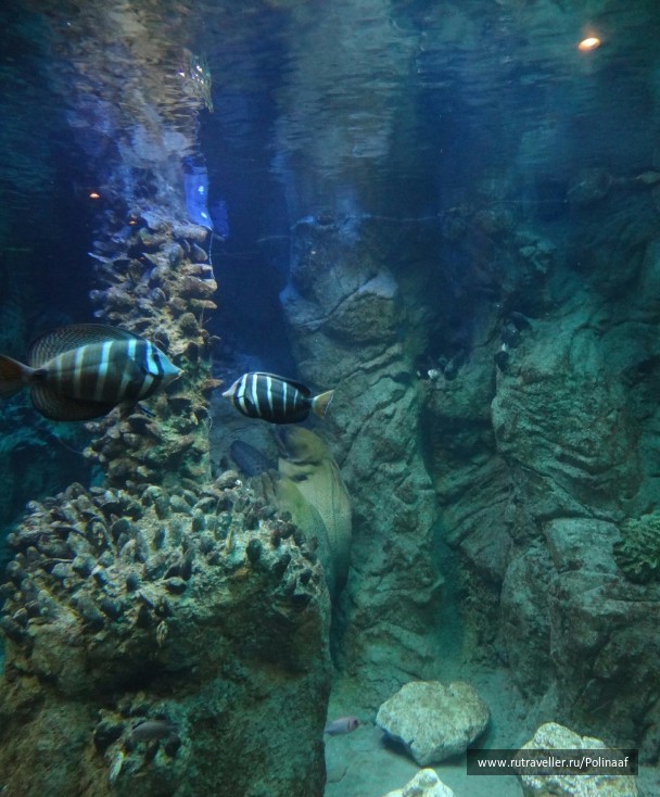 photo 1744097