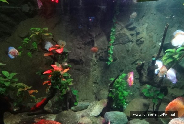 photo 1747769
