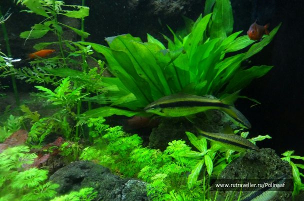 photo 1751641