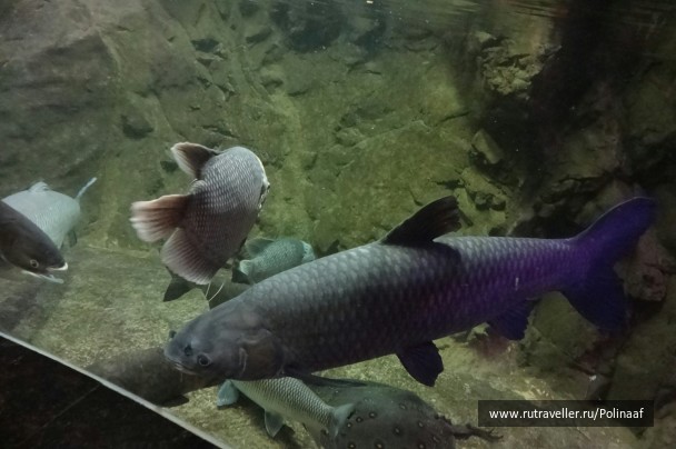 photo 1756305