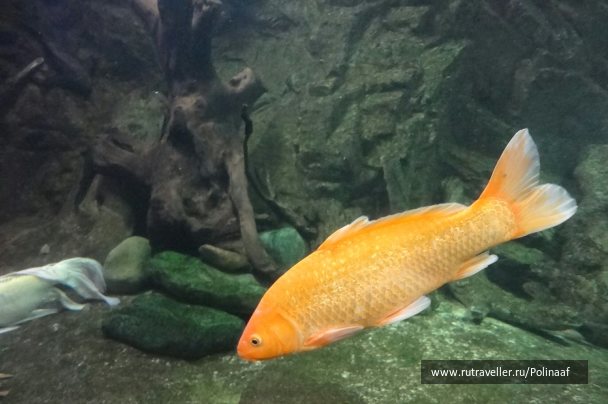 photo 1758222