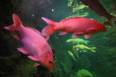 photo 1758752